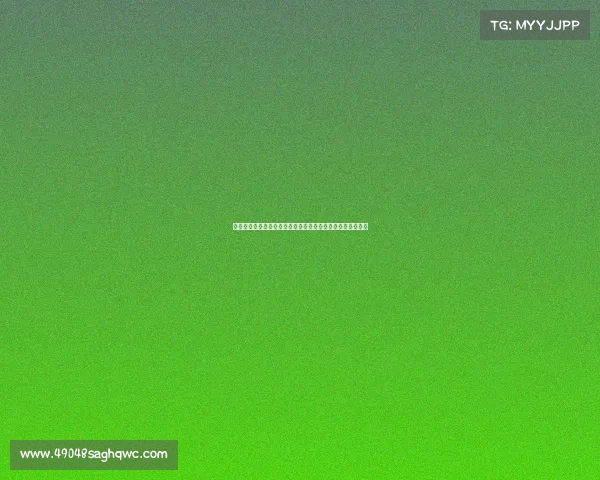 西甲控卫类型解析：技术特点、战术角色与发展趋势全面剖析